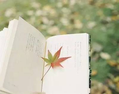 讀書，也是一種旅行——企業(yè)管理視角下的閱讀智慧